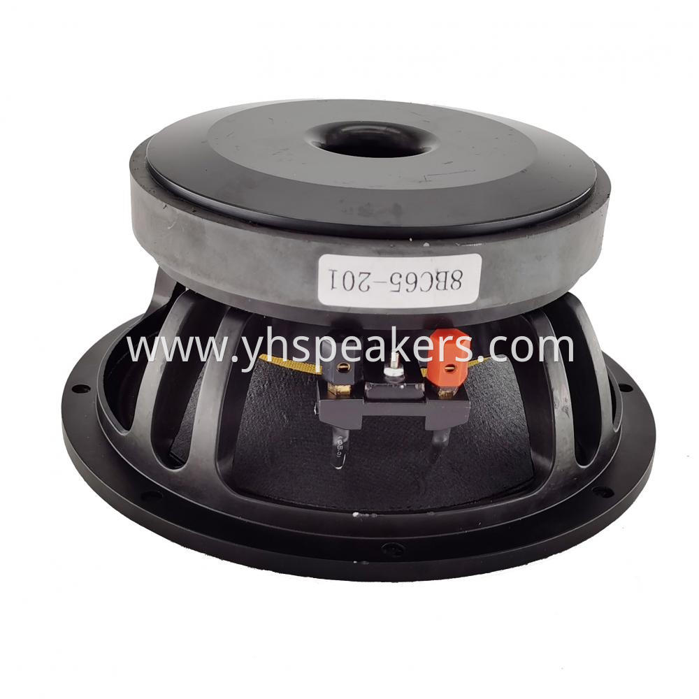 Popular 8 inch Pro Audio Speaker Driver